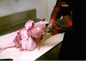 Tips To De-bone A Turkey